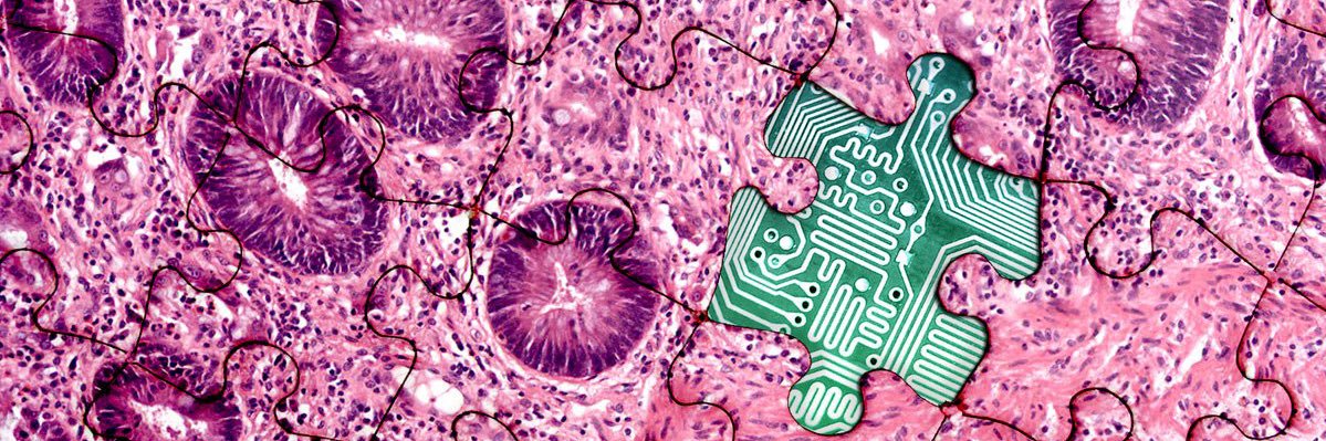 Shuo "Sean" Niu🔬🖥️ banner