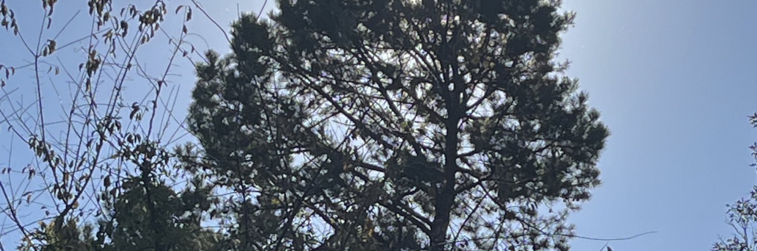 ThejCarter2's profile banner image