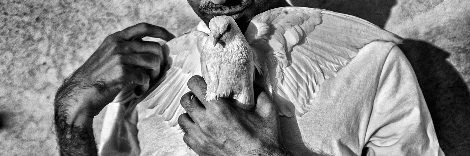 La estética del naufragio banner