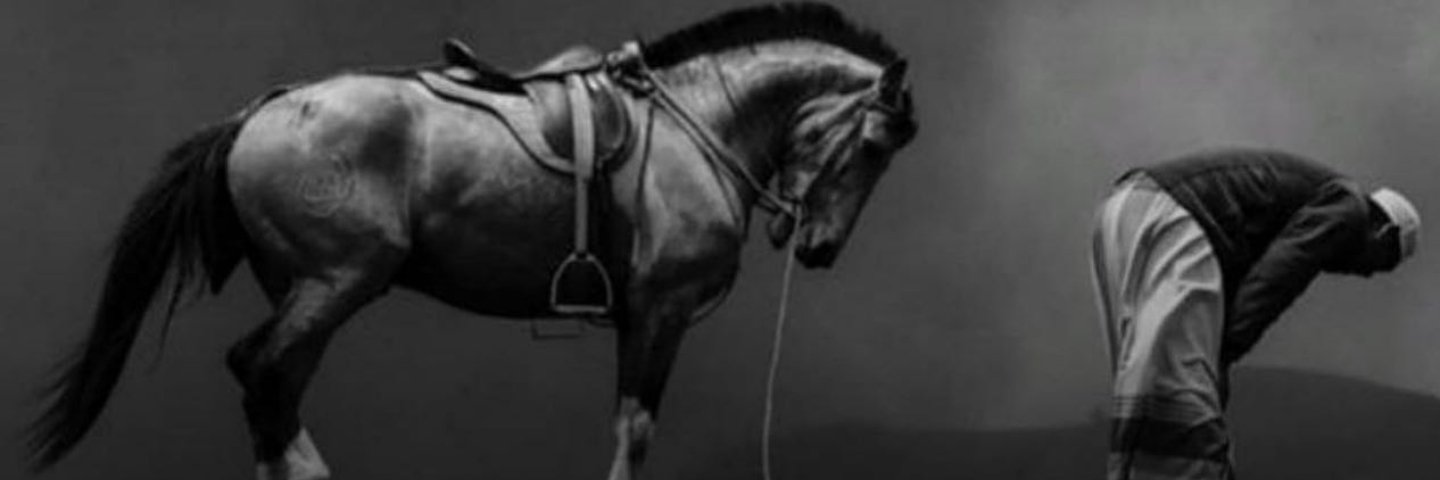Bob03253369's profile banner image