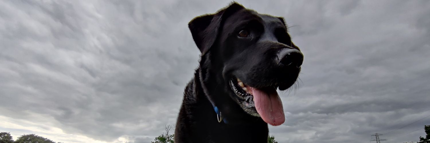 Dorien van 't Ende banner