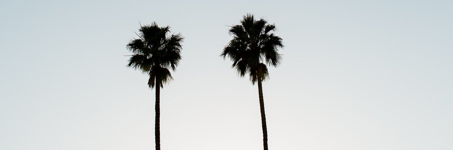 deewhy's profile banner image