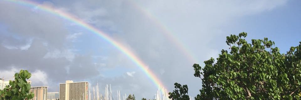 🧜🏽‍♀️☮️🟧 banner