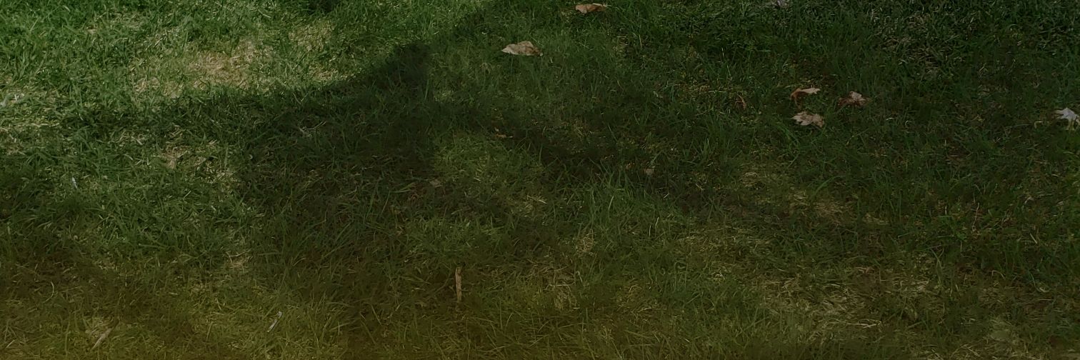theclumsyone banner