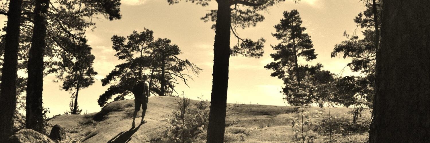 mikas6576's profile banner image