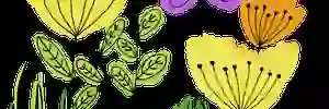 cristmolina's profile banner image