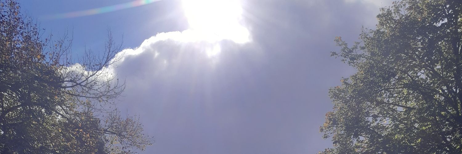 simonreed17's profile banner image