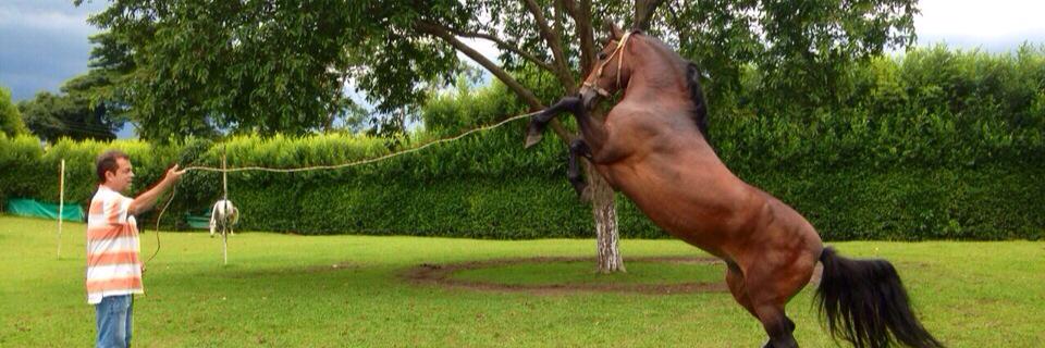 Hector Fabio Peñuela banner