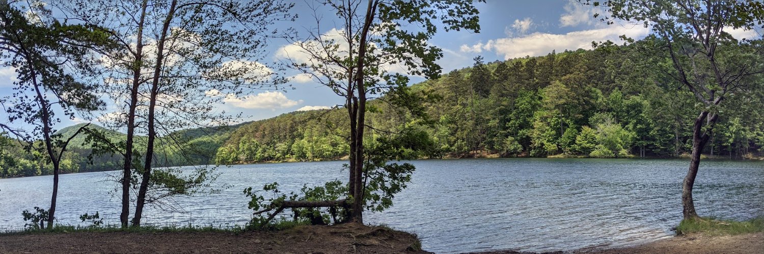 Ms. Schechter banner