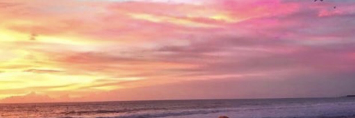 B_LaRae's profile banner image