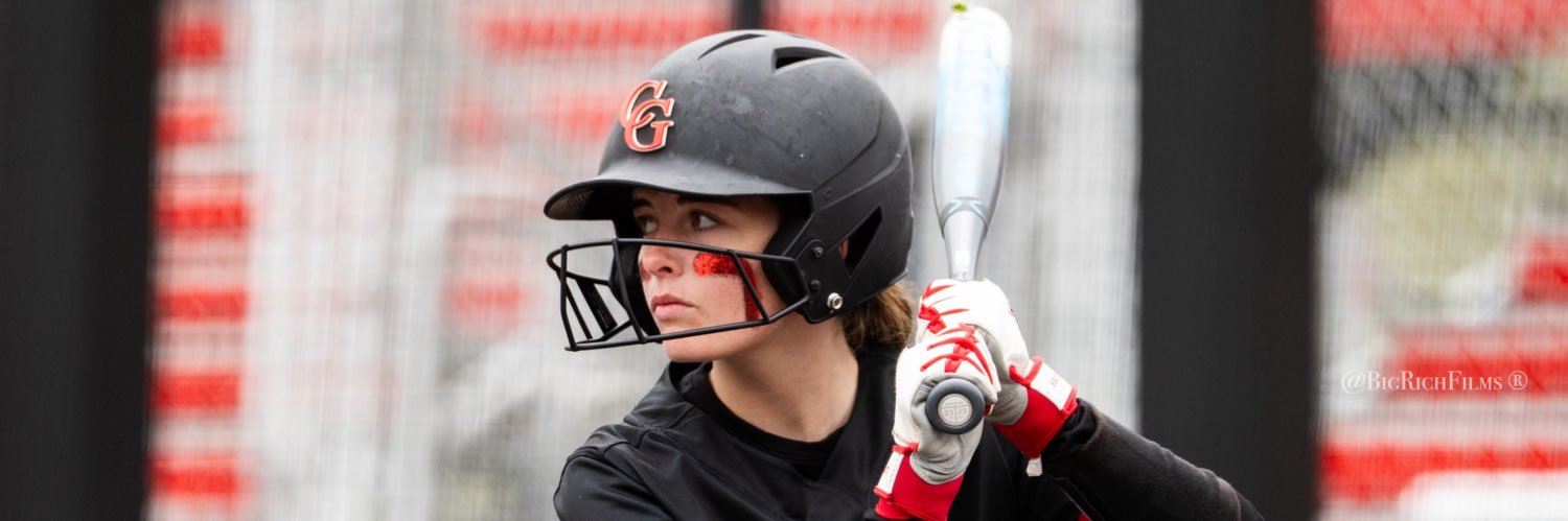 Addison Wolff banner