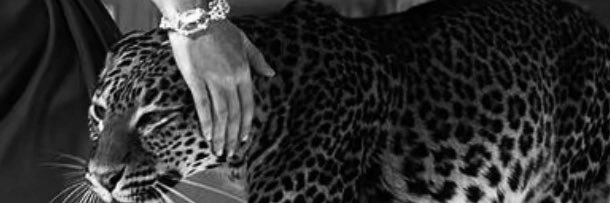 Gold_rf's profile banner image
