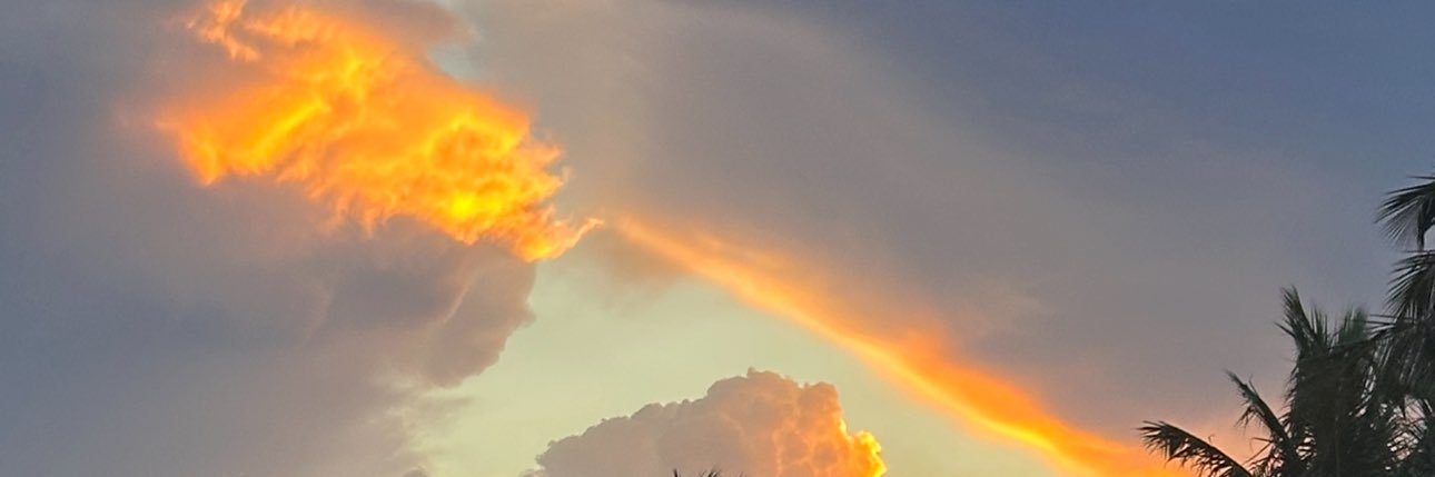 shannybranny73's profile banner image