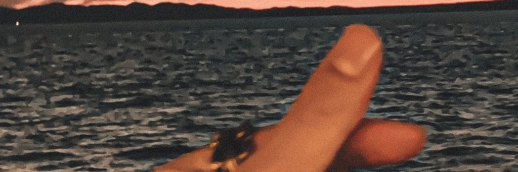 chiccailabloom6's profile banner image