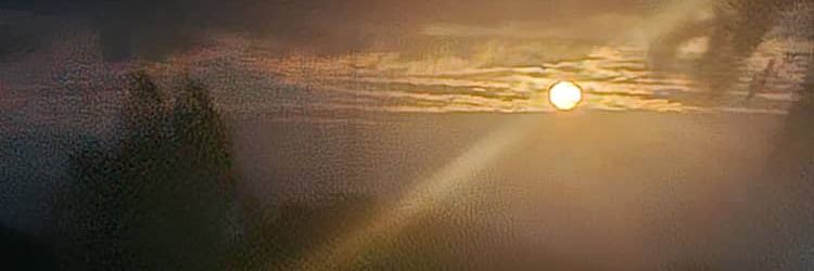cryptojesus32's profile banner image