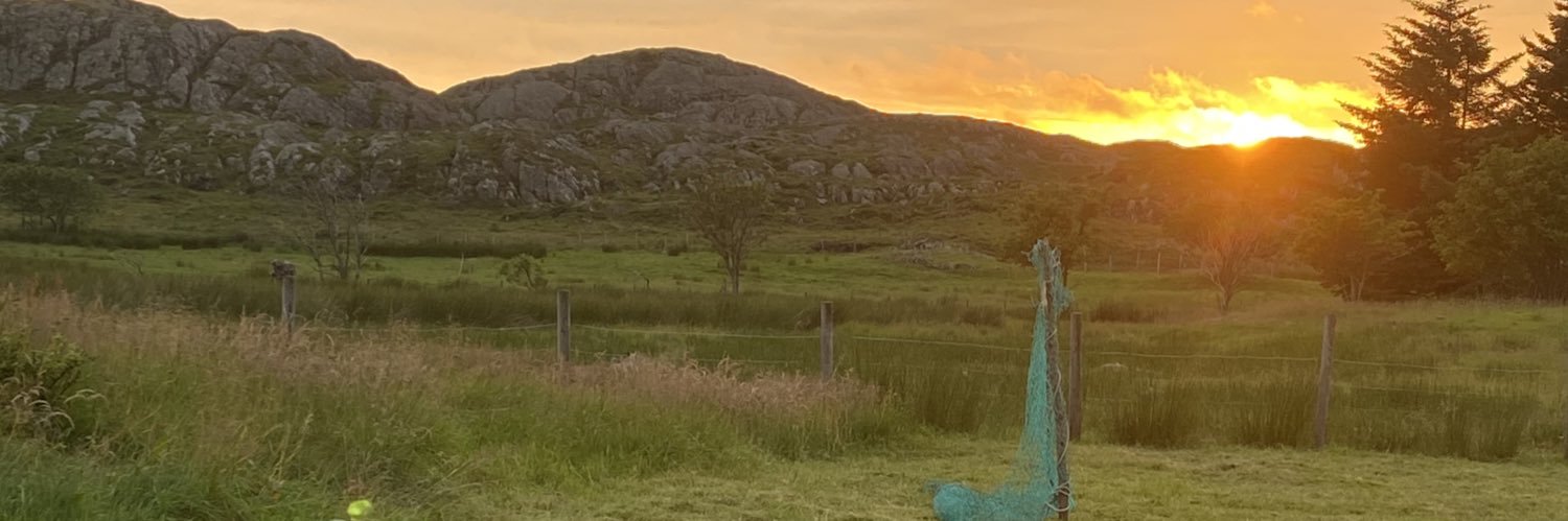 LineOddekalv's profile banner image