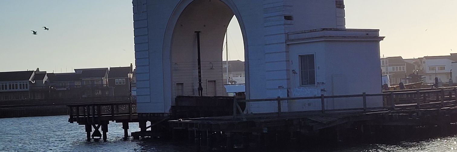 Hank Williams banner