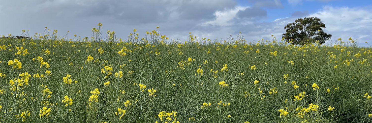 Miranda Slaven banner