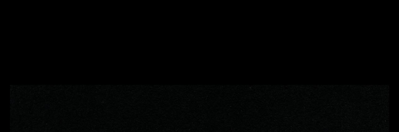 Marissa Fromm banner
