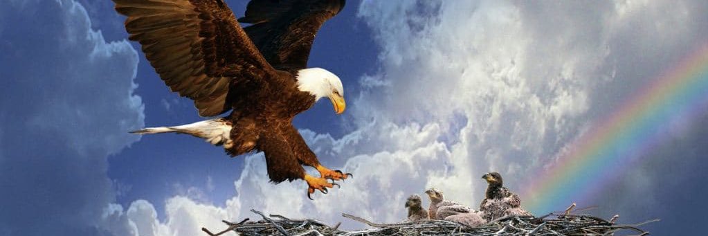 resteban9's profile banner image