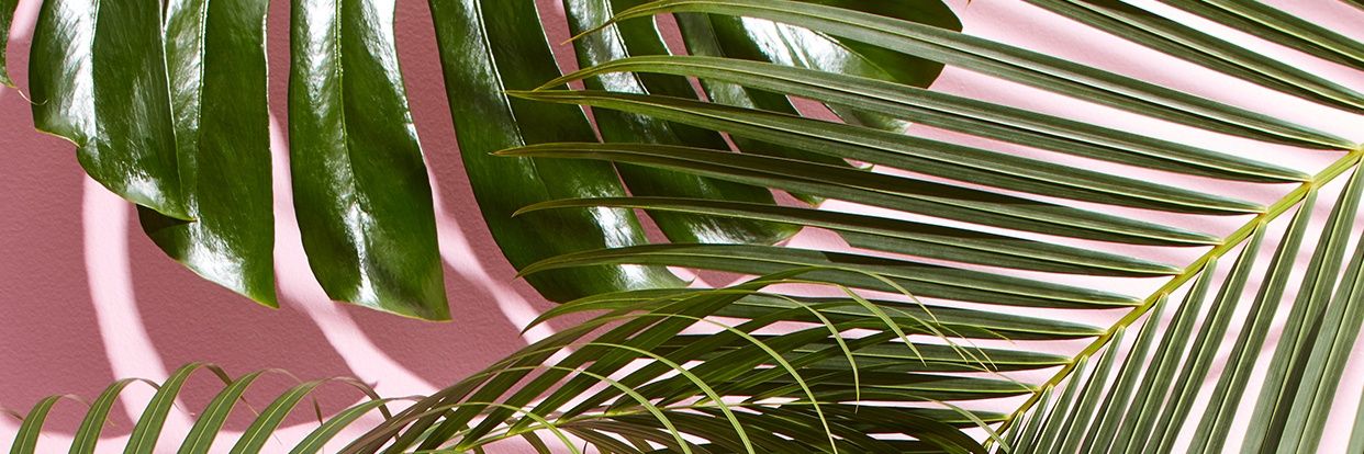 CyrussSmith's profile banner image