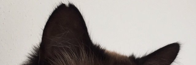 mathmeu's profile banner image