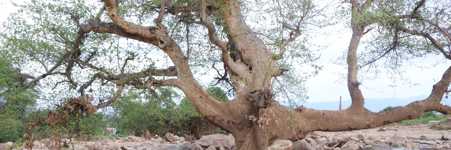 jenga_future's profile banner image