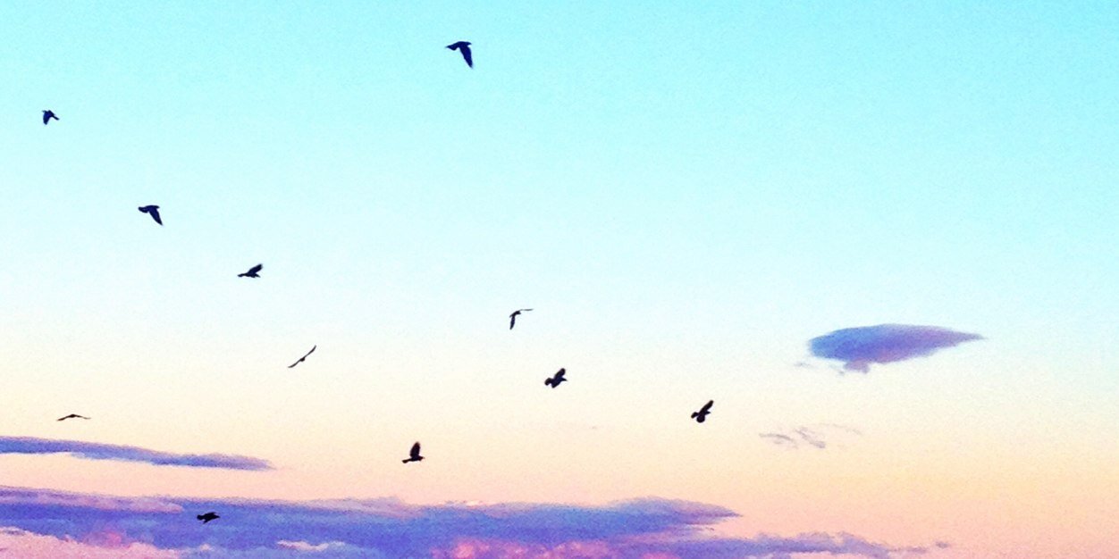 Louisedementhon's profile banner image
