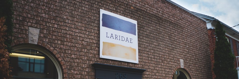 Laridae banner