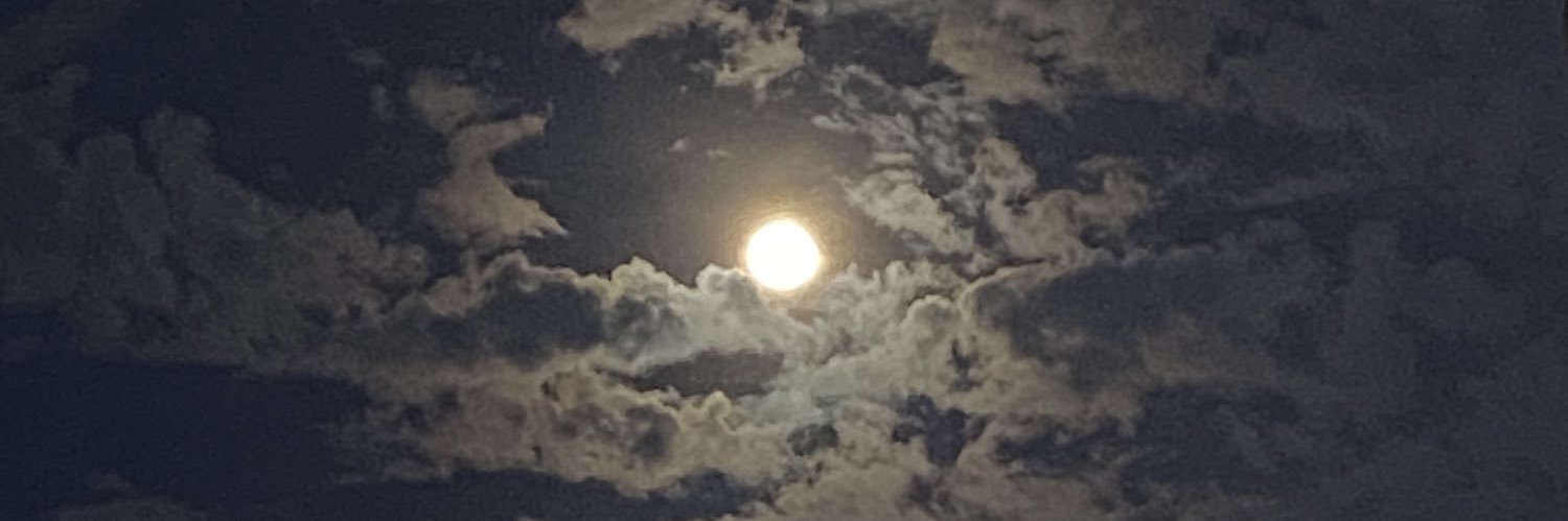 Lumpus The Hybrid (my doggo) banner