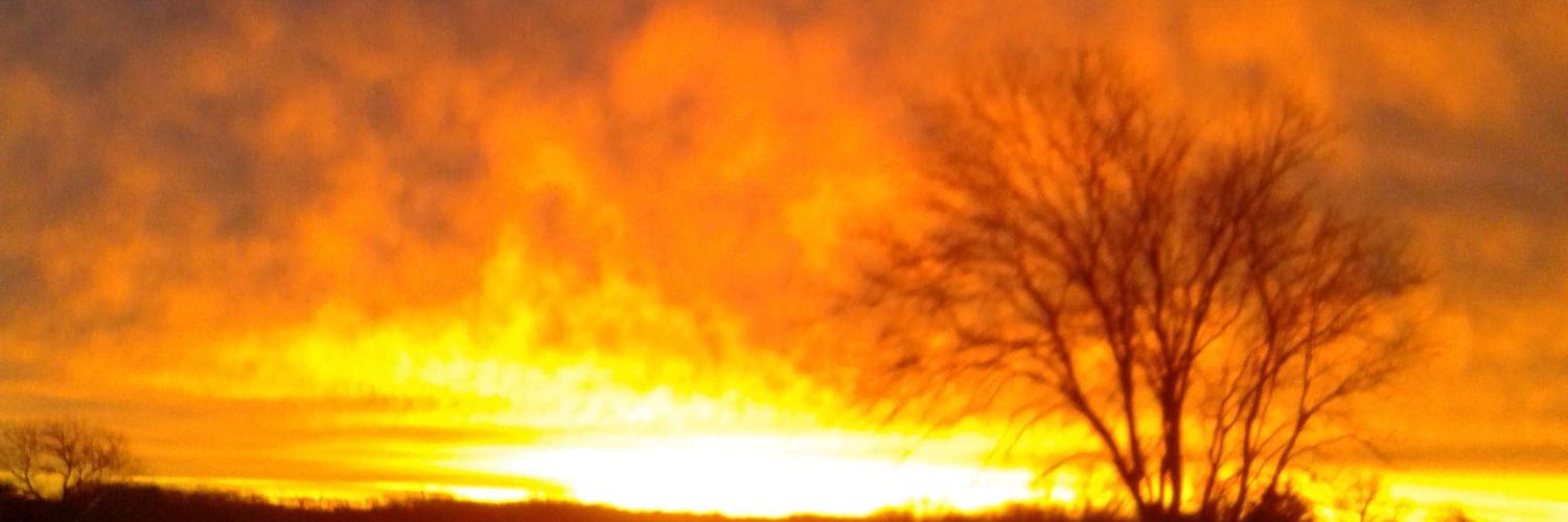 DarlaSmith14's profile banner image