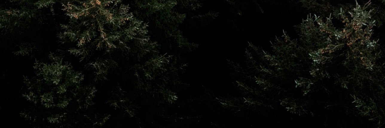 paolodeee's profile banner image