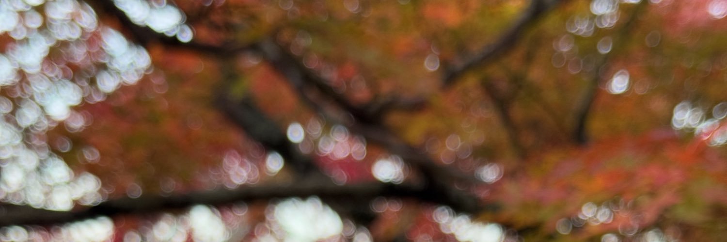 Enzie banner