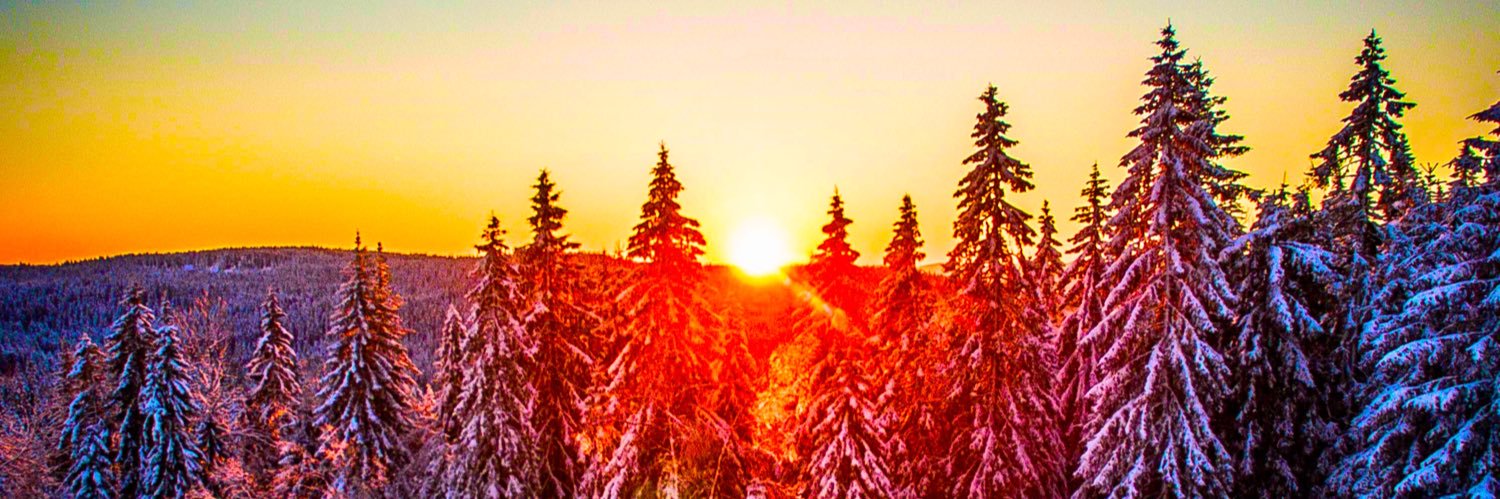 Torbjørn Hundere banner