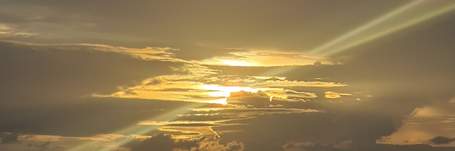 dumfy02's profile banner image
