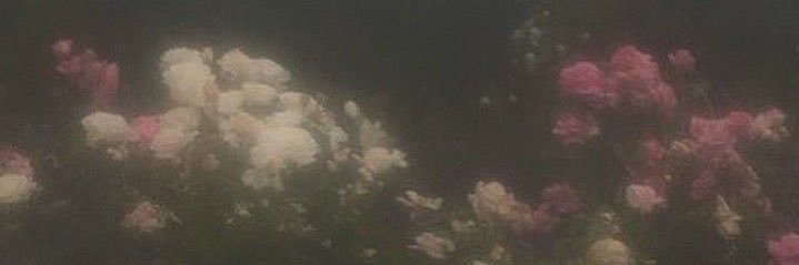 _alz0y's profile banner image