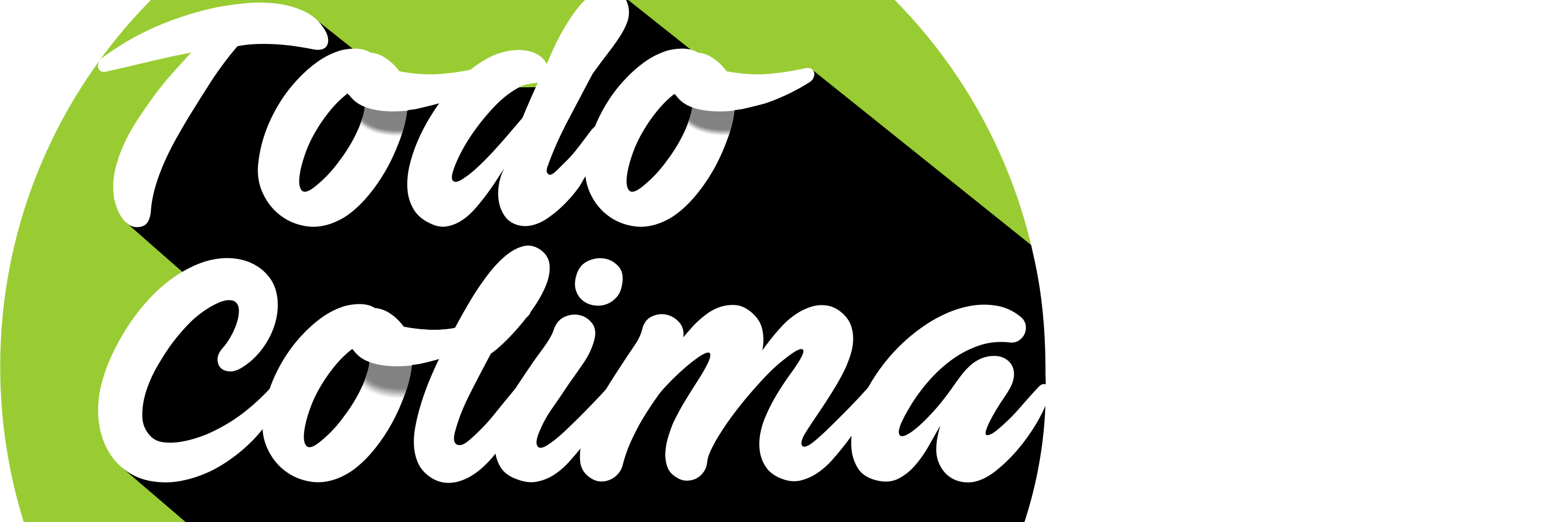 Todo Colima banner