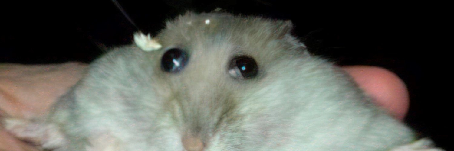 Spinnin_Boi's profile banner image