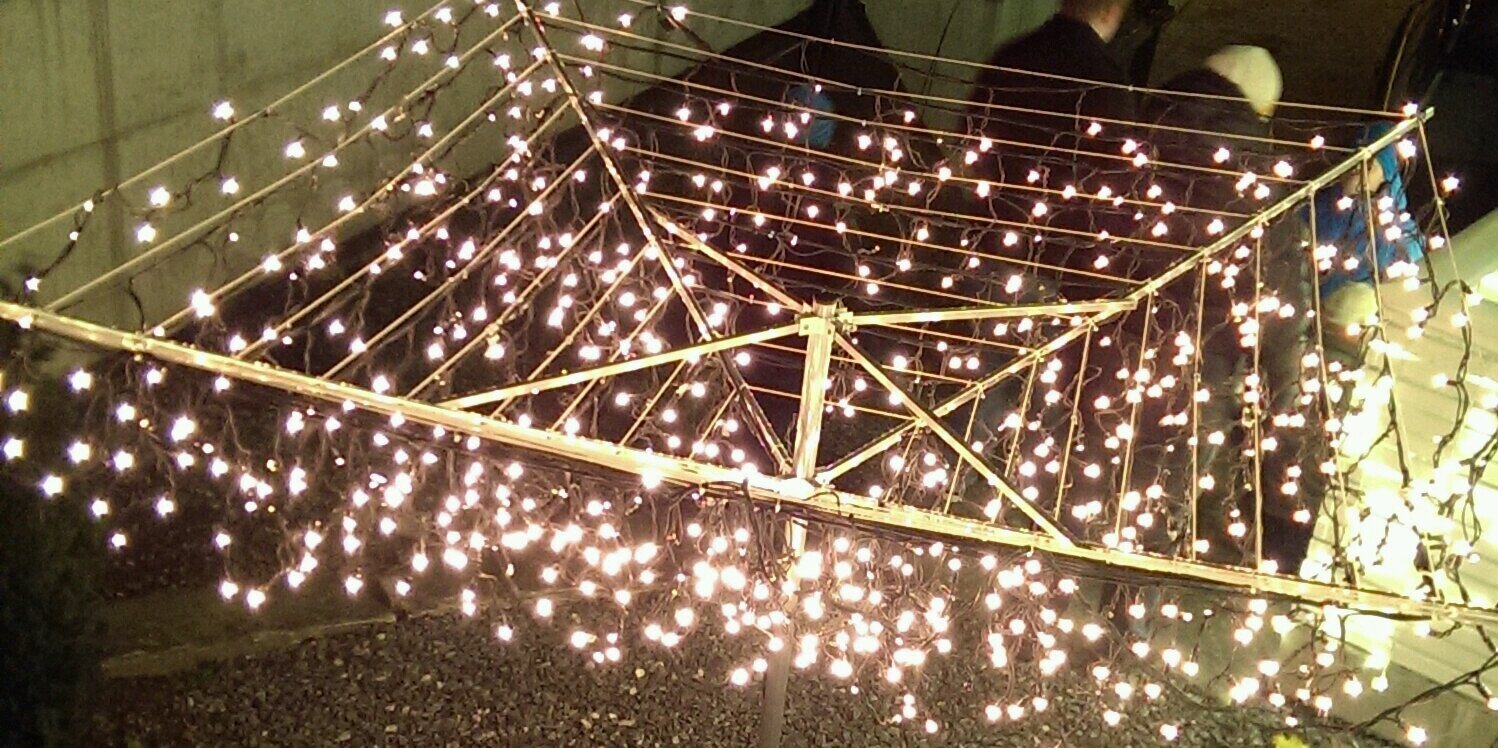 Ingveig Tveranger banner