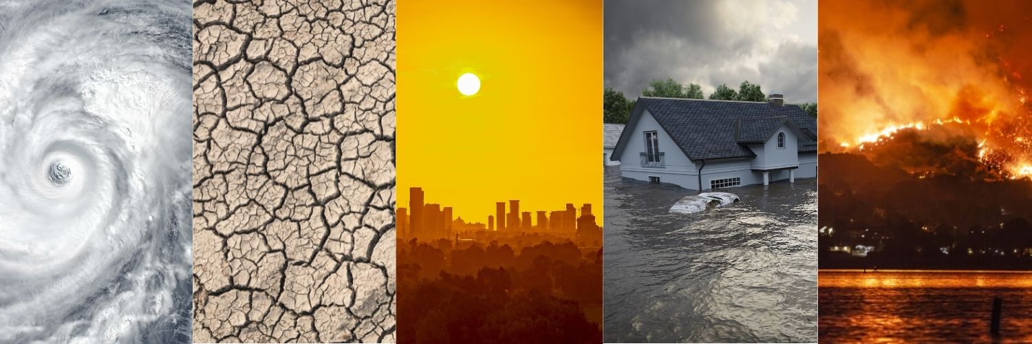 Climate Signals banner