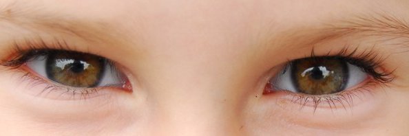 York Developmental Social Neuroscience Lab banner