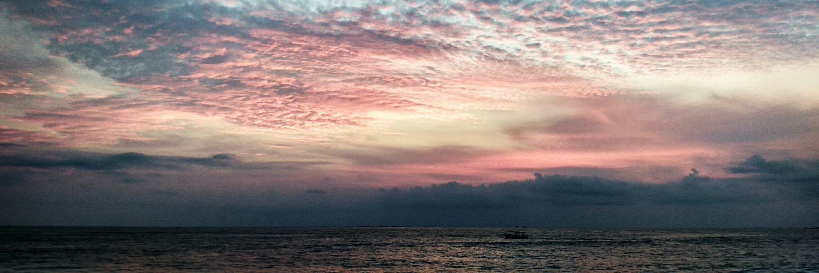 Wilfred Vertonghen 🇵🇸 banner