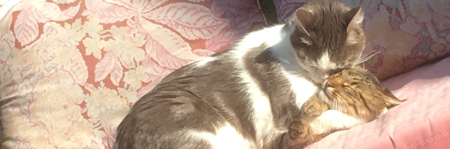 OGressier's profile banner image