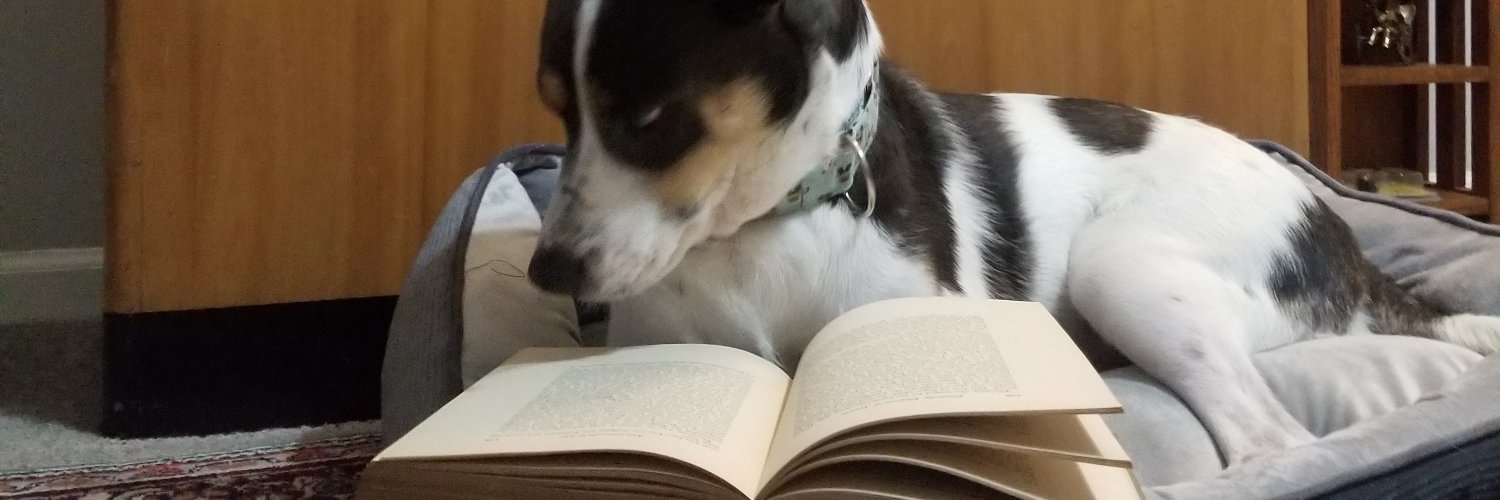 Emily Vardell banner