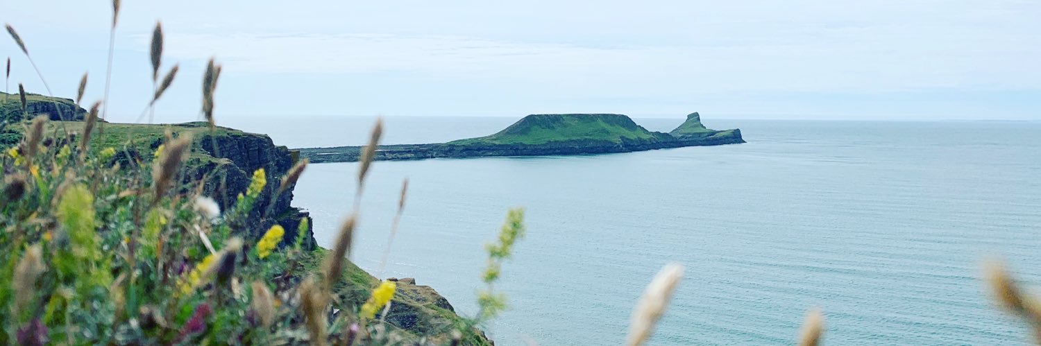 Ceri_Llew's profile banner image