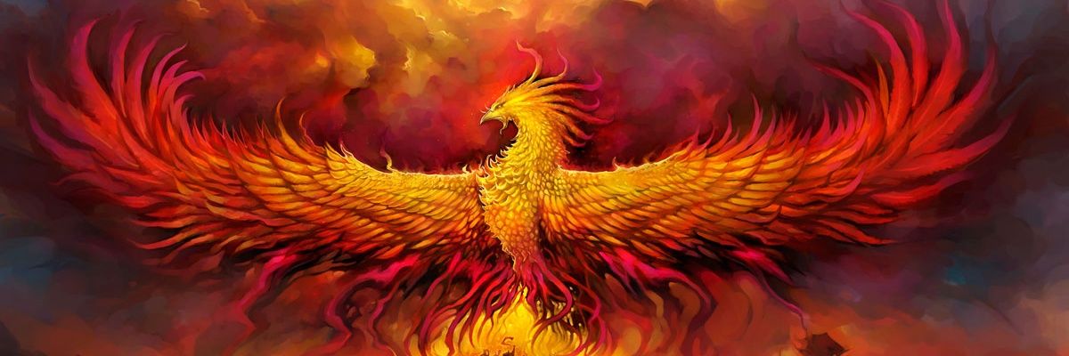 Carlos Duarte🇻🇪 banner