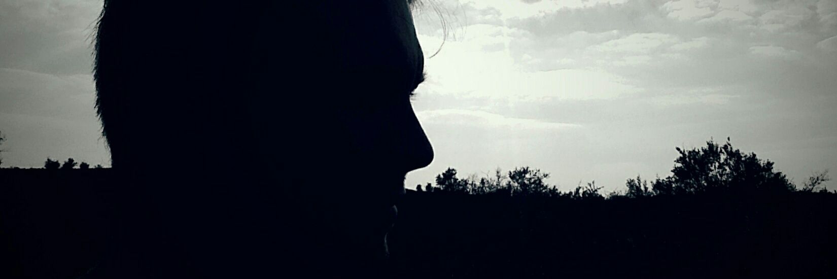 stassenjaco's profile banner image