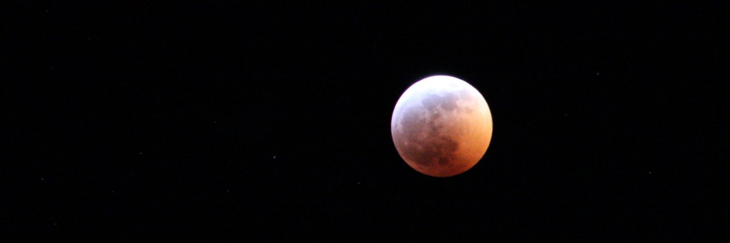 LadyTaneli's profile banner image