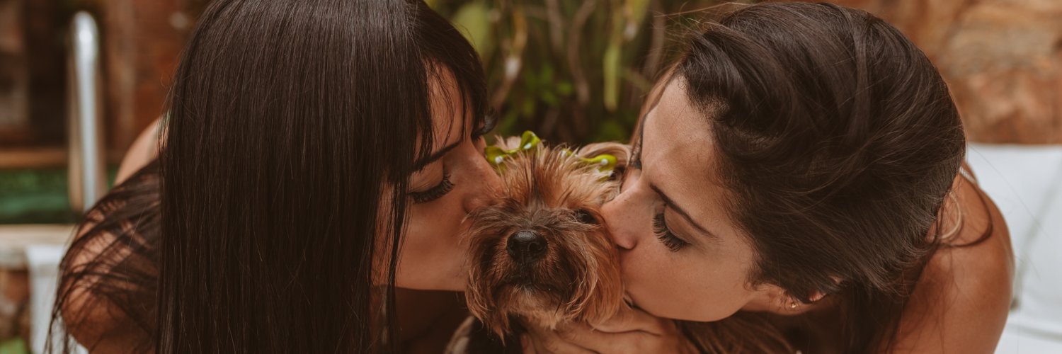 laurinhatm's profile banner image