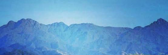 diegomiranda's profile banner image